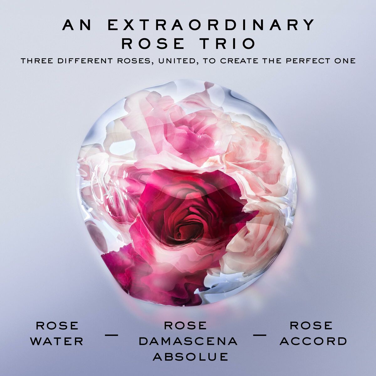 Kvinners parfyme Lancôme la vie est belle rose ekstraordinær edp 50 ml