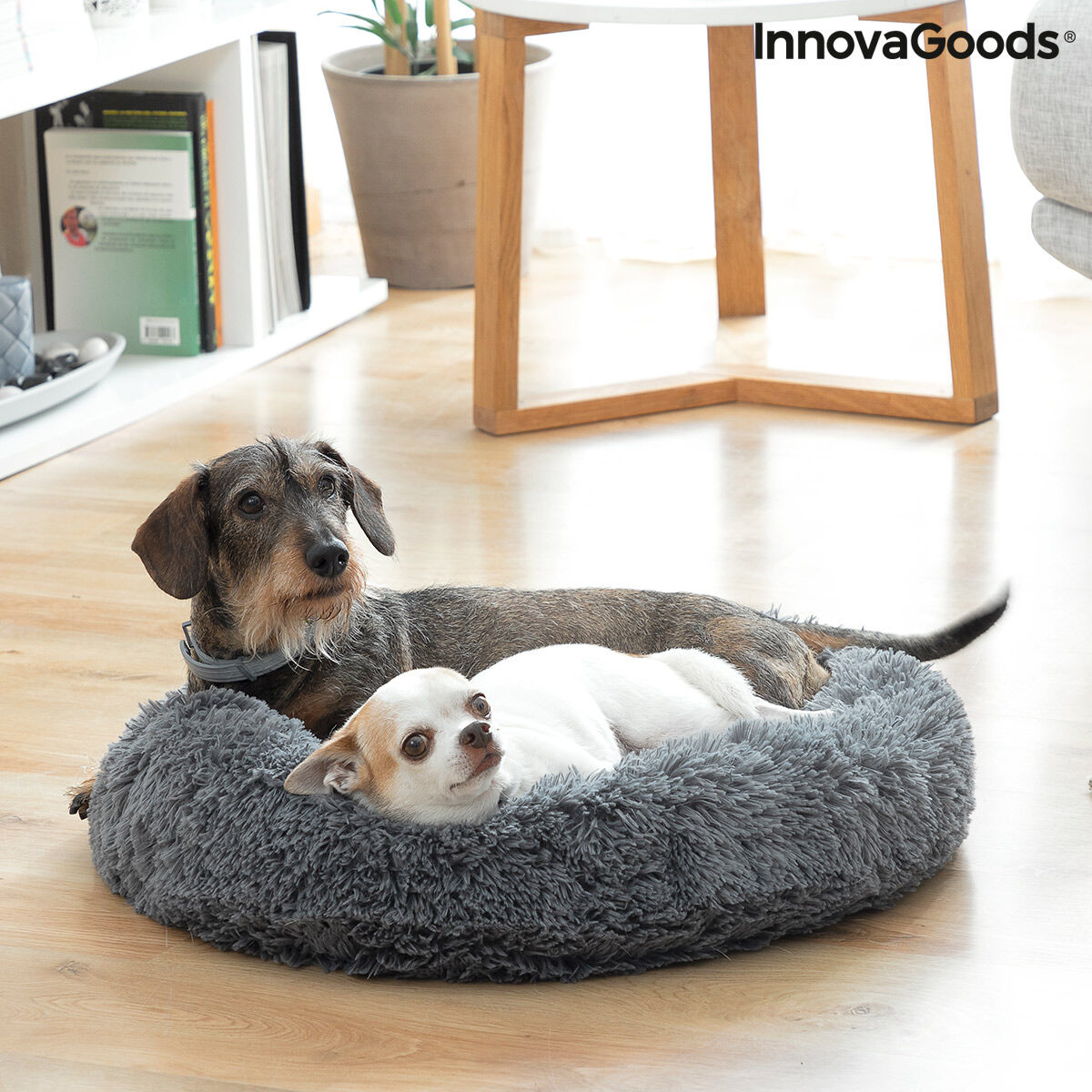 Anty-stresowa łóżek dla zwierząt domowych innowacja Ø 60 cm