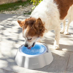 Raffreddamento dell'acqua per animali domestici Freshty Innovagoods Freshty