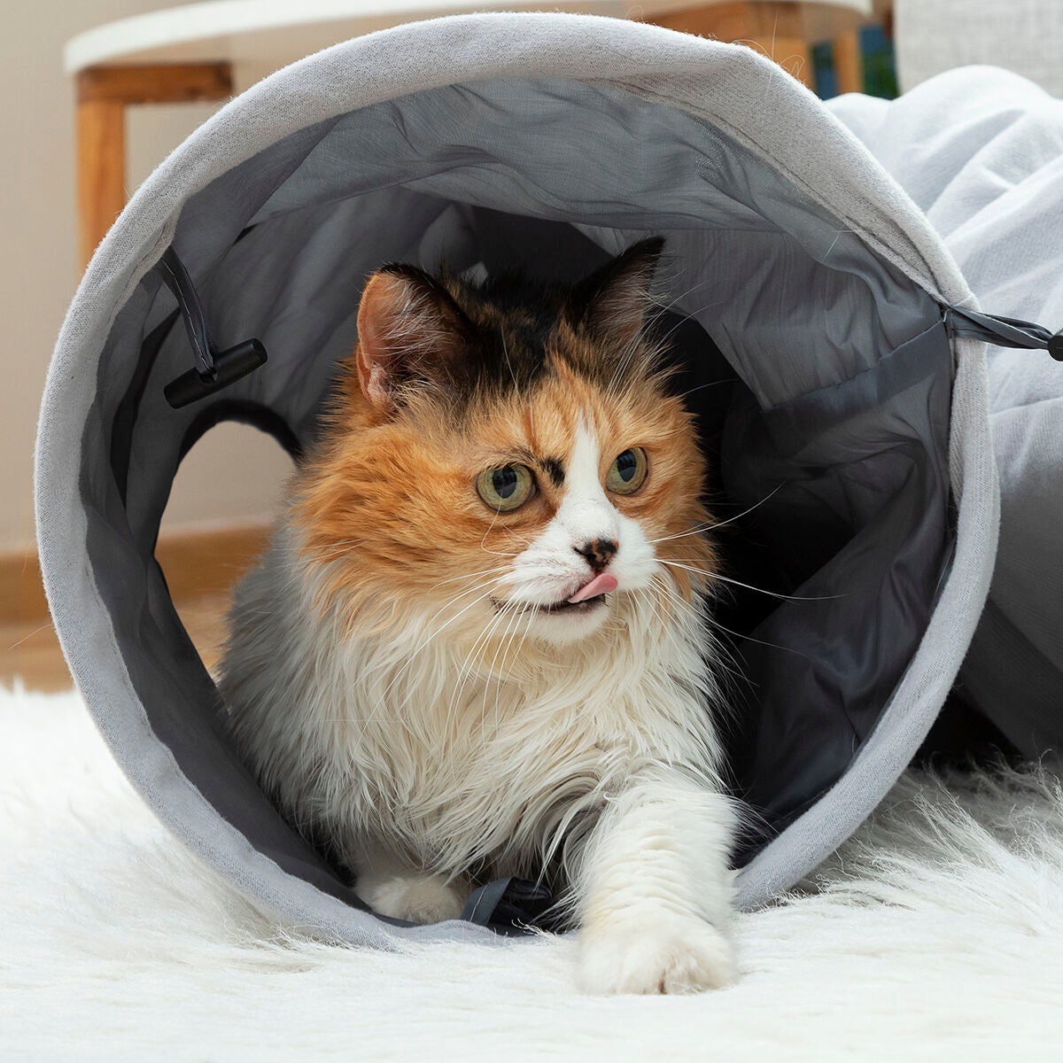 Compappible Pet Tunnel Funnyl Innovagoods